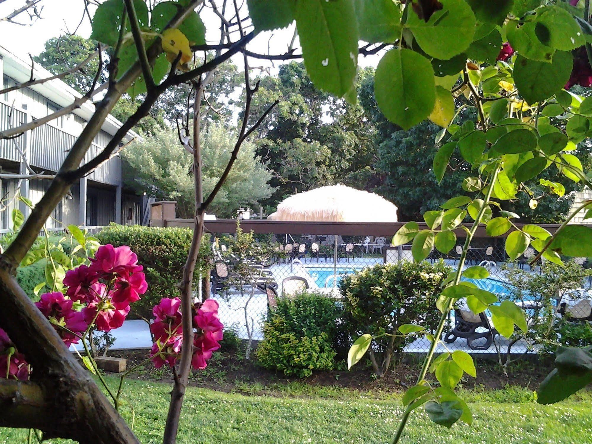 מונטוק Kenny'S Tipperary Inn מראה חיצוני תמונה
